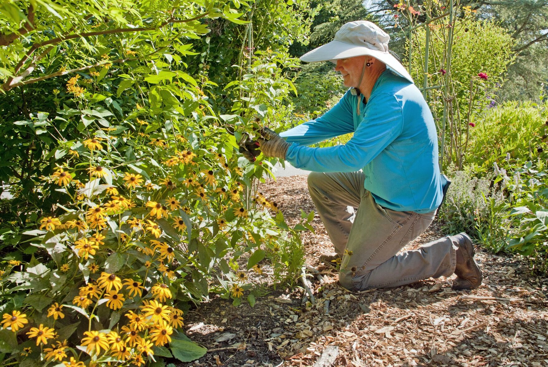 Timothy Day garden